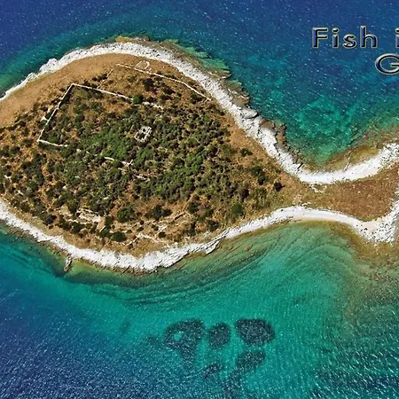 - Maslenik -appartement 65 M2 Et Piscine Διαμέρισμα Pakoštane